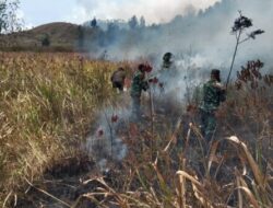 Api Berkobar di Ijen, TNI dan Perhutani Bergerak Cepat Jinakkan Kebakaran di Petak 87
