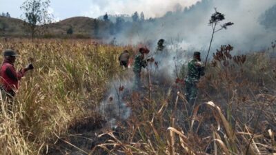 Api Berkobar di Ijen, TNI dan Perhutani Bergerak Cepat Jinakkan Kebakaran di Petak 87