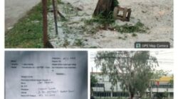 DLHK Klaim Pemohon Tak Keberatan Pohon Dipertahankan, Joko Membantah: Diduga Ada Kekeliruan Laporan Tim kepada Kadis
