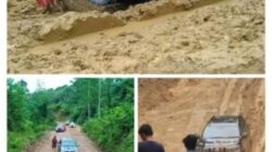 Menembus Isolasi Mahakam Ulu, Djoko Setijowarno Dorong Bus Perintis dan Konektivitas Darat