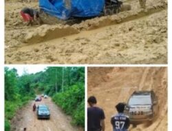 Menembus Isolasi Mahakam Ulu, Djoko Setijowarno Dorong Bus Perintis dan Konektivitas Darat