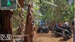 Warga Pucangsari Pasuruan Resah, Dugaan Praktik Judi Sabung Ayam dan Dadu Kocok Diminta Segera Ditertibkan