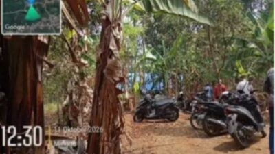 Warga Pucangsari Pasuruan Resah, Dugaan Praktik Judi Sabung Ayam dan Dadu Kocok Diminta Segera Ditertibkan