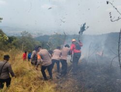 Polda Jatim dan Tim Gabungan Tangani Karhutla Gunung Arjuno Sisir 4 Wilayah