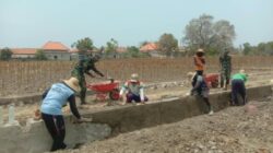 Progres Signifikan! Pembangunan TPT 450 Meter di Dusun Paninggin Desa Jarin Tembus 60 Persen
