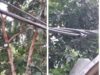 KABEL LISTRIK MENGELUPAS DAN TUMPANG TINDIH, WARGA HAWATIR TERJADI KEBAKARAN