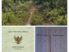 Diduga Serobot Tiga Bidang Tanah di Rimbo Panjang, Perkebunan Sawit PT Meranti Mas Disorot, Wak Lilik Belum Dapat Dikonfirmasi